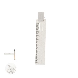 Regla Marcapáginas Loiza